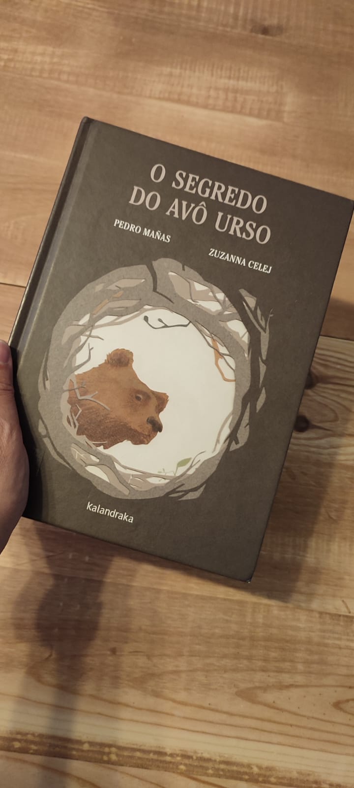 capa do livro o segredo do avô urso